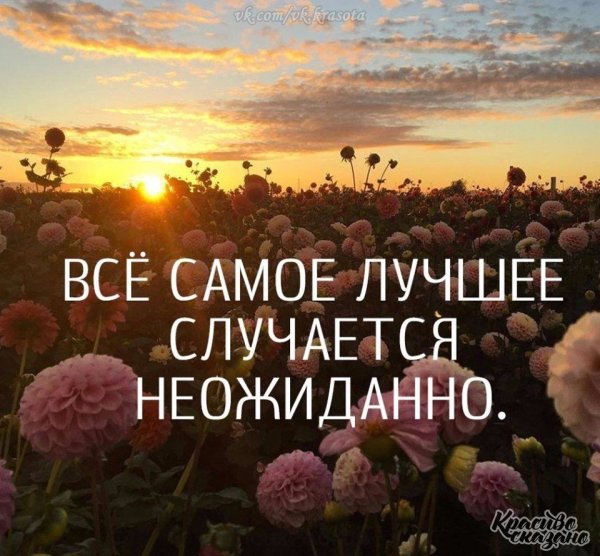Все хорошо цитаты