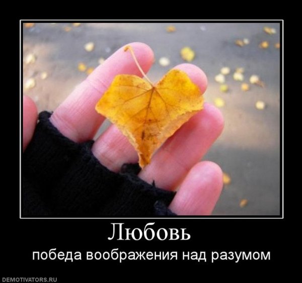 Умные мысли и высказывания