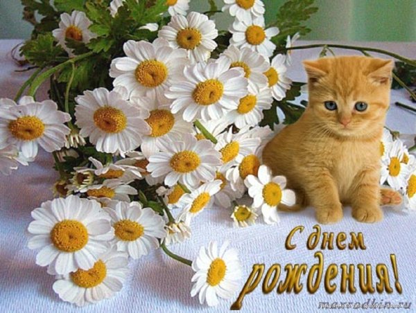 Пожелание хорошего дня и настроения