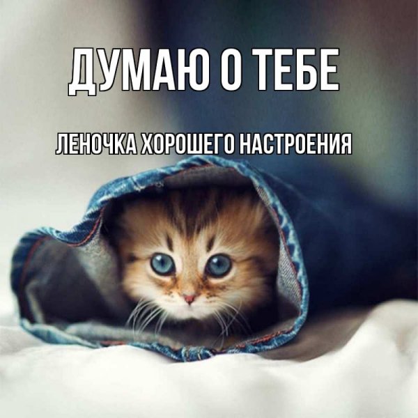 Стихи девушке