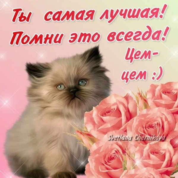 Добрые пожелания с животными