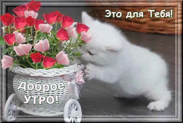 Обнимаю тебя крепко
