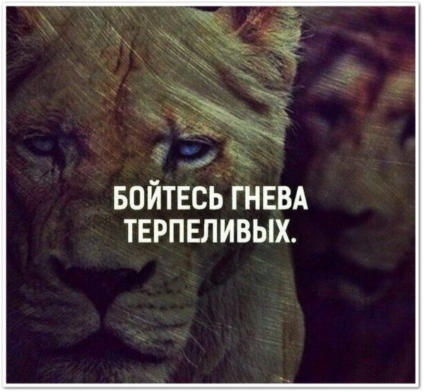 Бойся гнева терпеливого человека