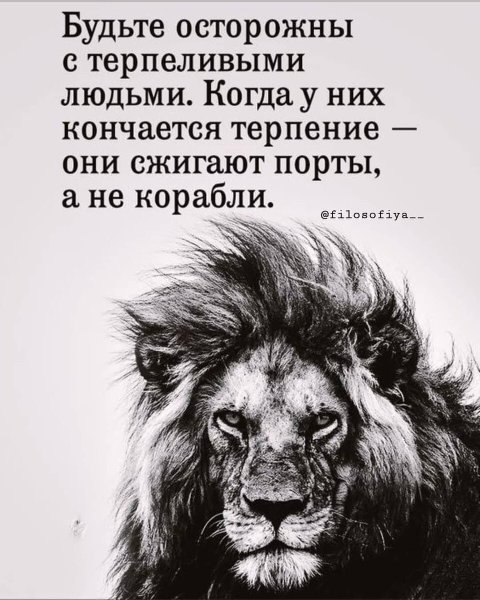 Умные статусы в картинках
