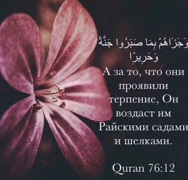 Терпение цитаты Ислам