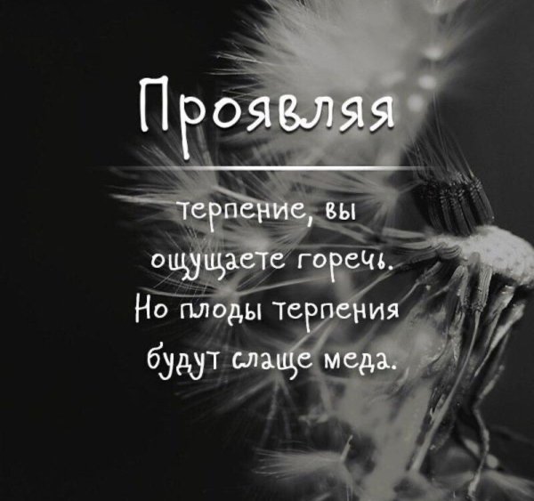 Высказывания о терпении