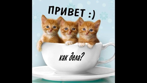 Привет картинки красивые
