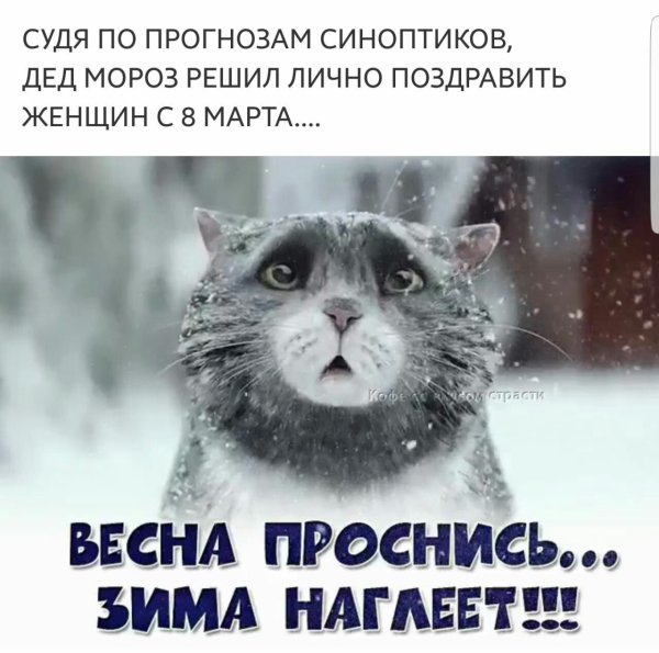 Я очень скучаю по тебе