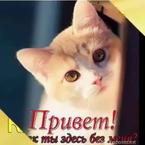 Уйду я от вас