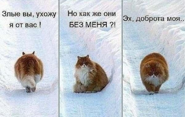 Всех порву