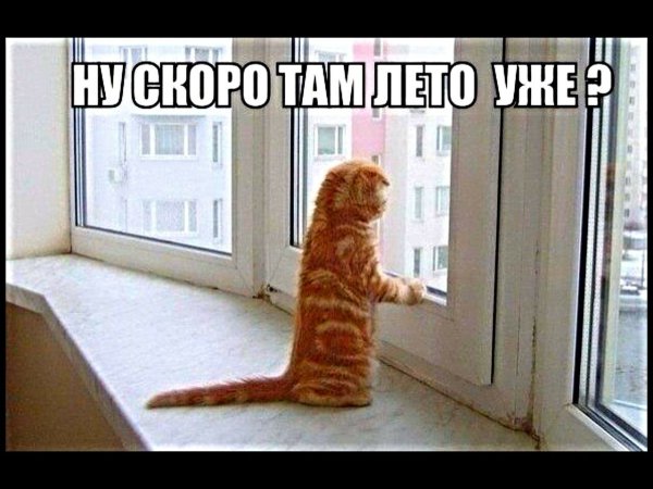 Лето уже скоро