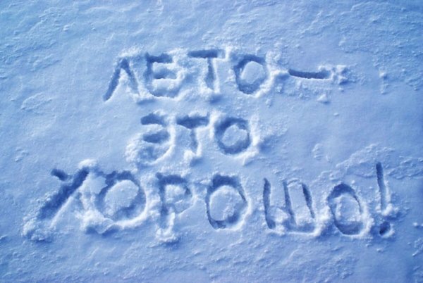Смешные надписи на снегу