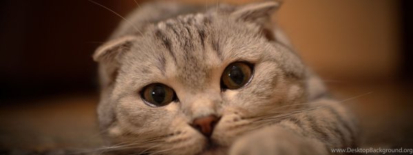 Надпись береги себя