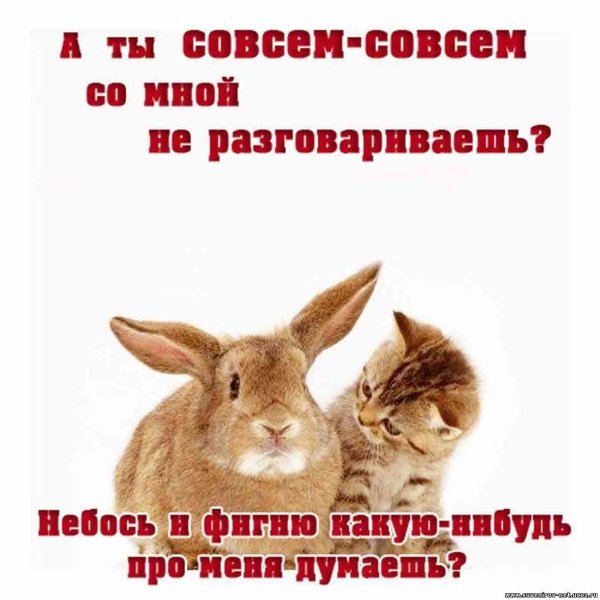 Ты со мной не разговариваешь