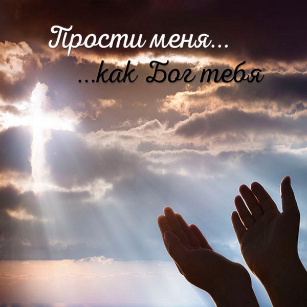 Цитаты для статуса