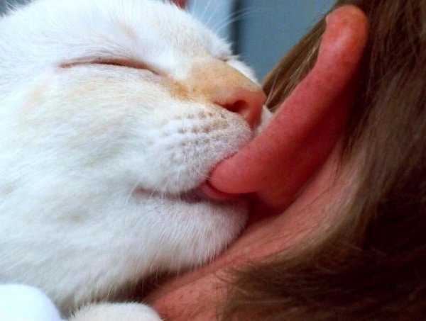 Gigil тагальский