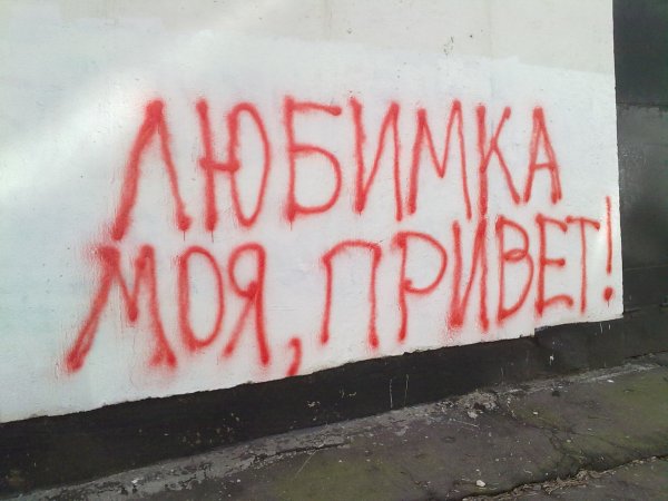 Приветик любимка