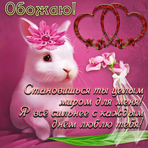 Открытка "я тебя люблю "