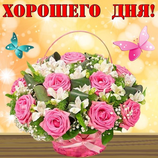 Тебе красавица