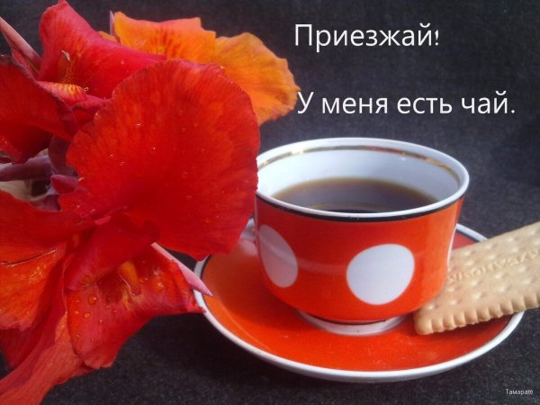 Утренний чай для тебя