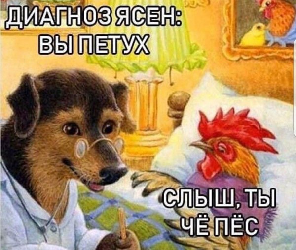 Диагноз ясен вы петух