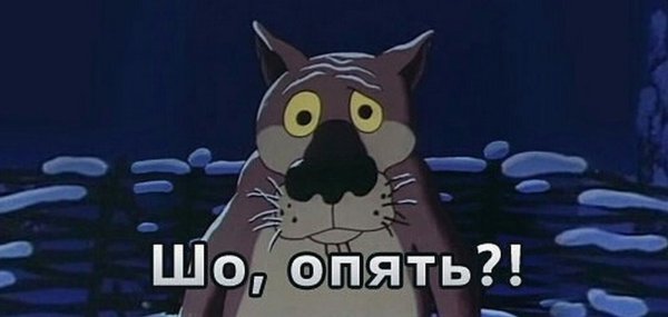 Шо опять волк