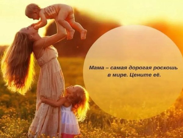 Мама и папа спасибо за жизнь
