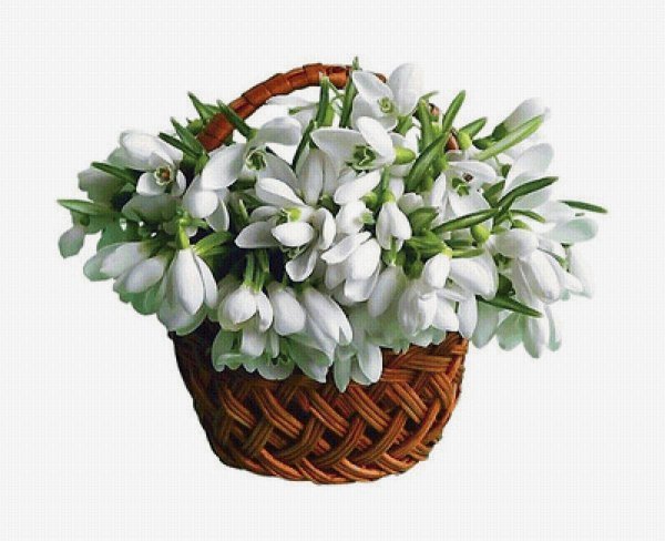 Корзинка с подснежниками