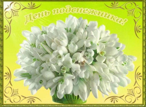 Открытки с днём рождения подснежники