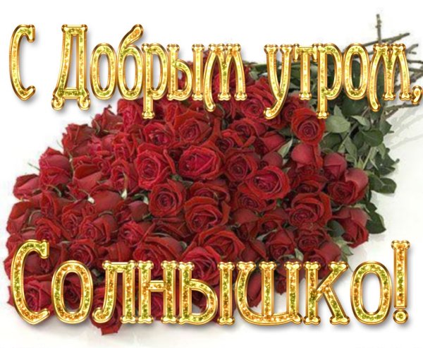 Открытка "я тебя люблю "