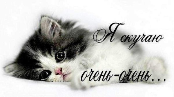 Картинки про любовь