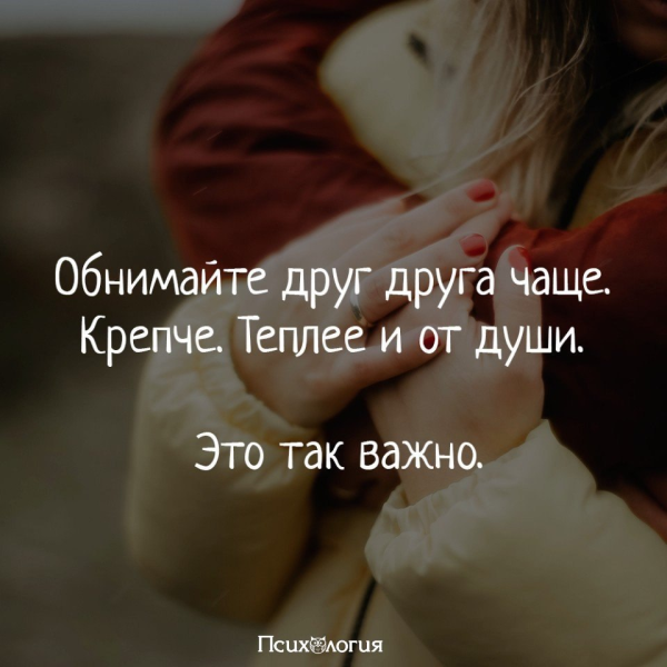Котики обнимаются