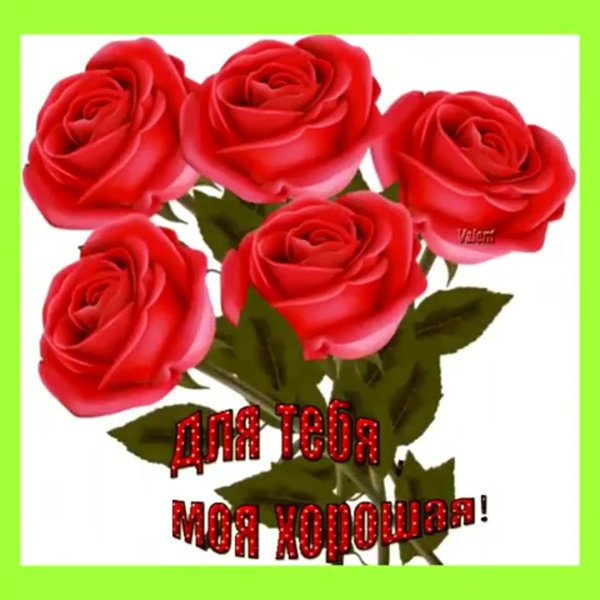 Цветы для внучки