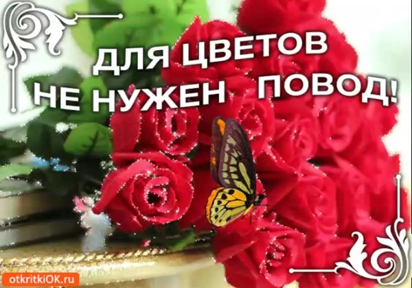 Открытка для цветов не нужен повод