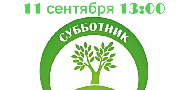 Мы за чистый город