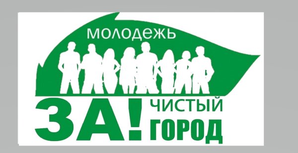 Молодежь за чистый город
