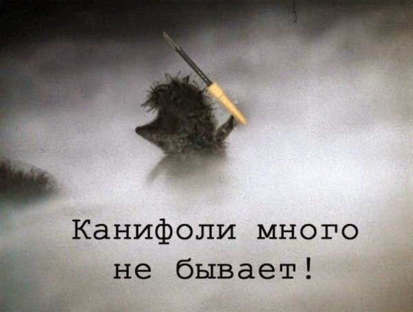 Ёжик в тумане