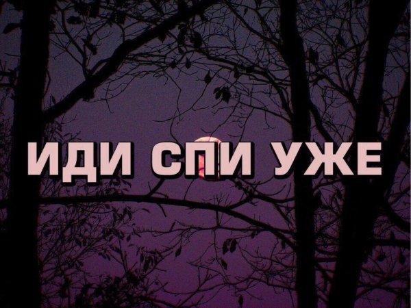 Я люблю спать а спать любит