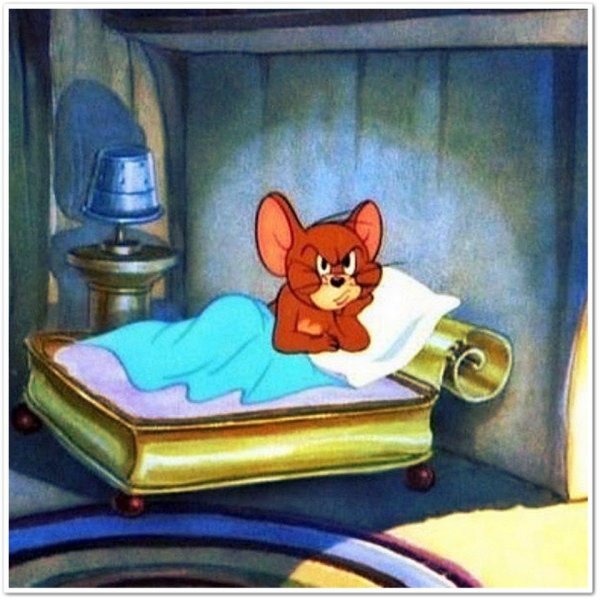 Стефан Коидл картины