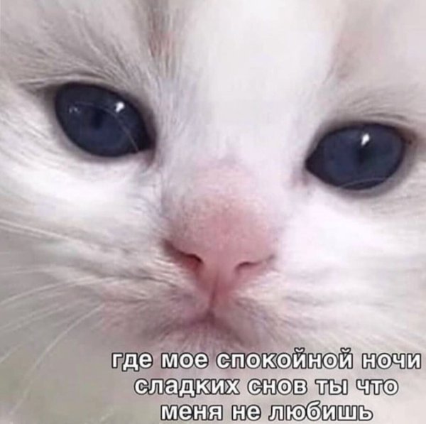 Думает перед сном