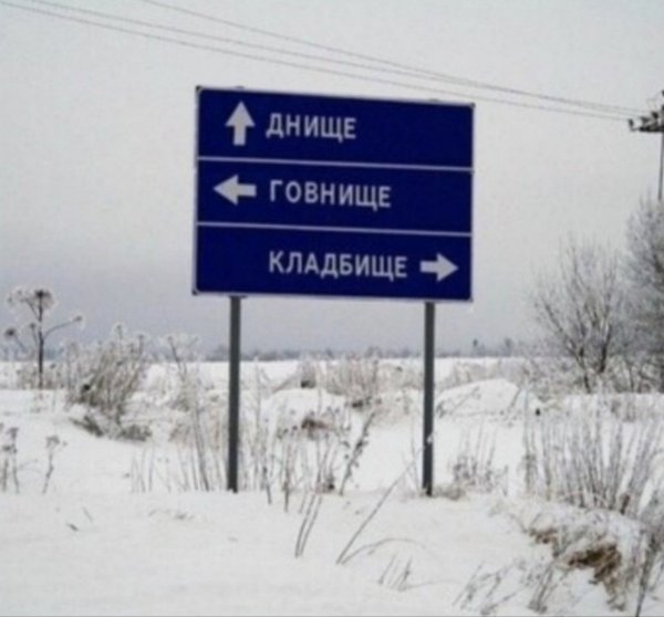 Счастливое будущее детей