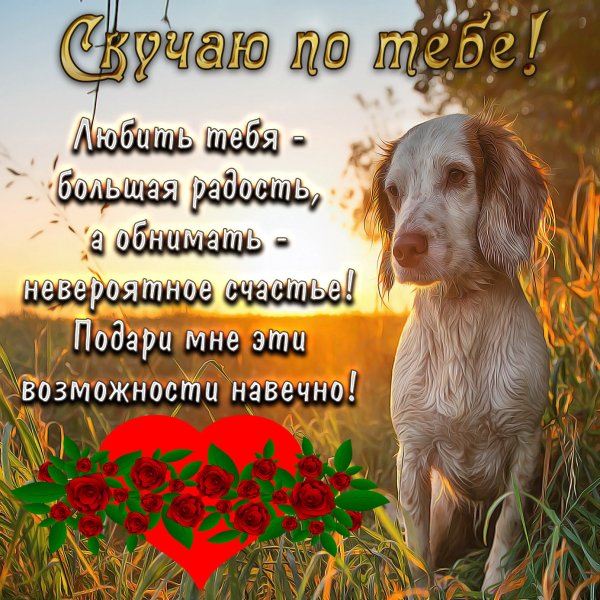 Я очень скучаю по тебе