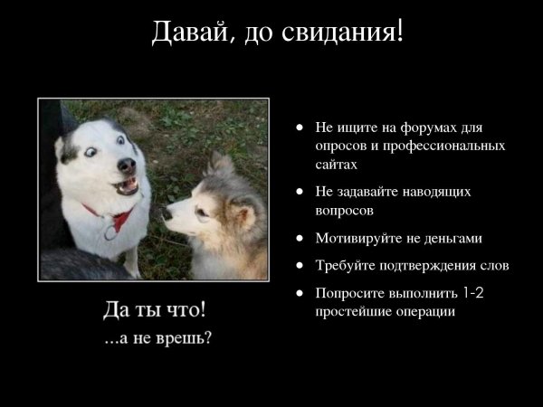Честно сказать я в ахуе кот