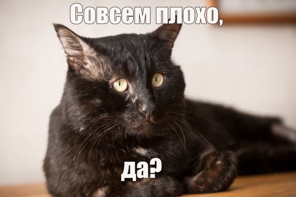 Матерные надписи на черном фоне