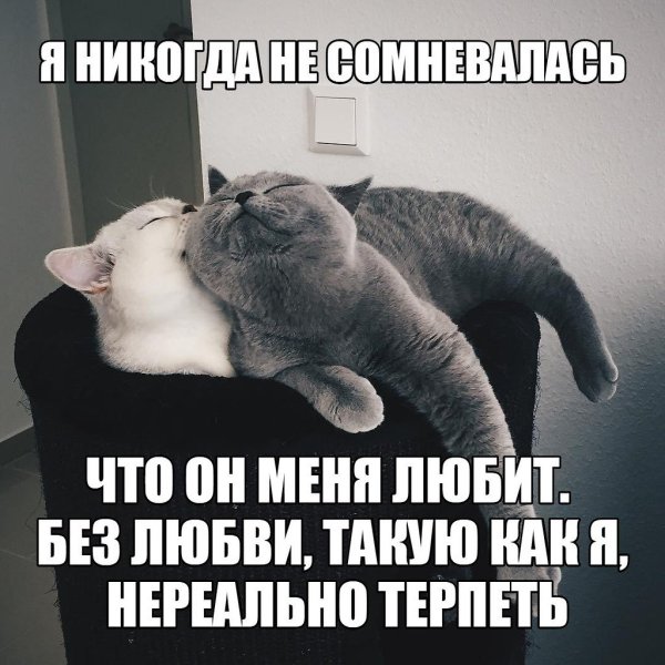 Грустный Медвежонок