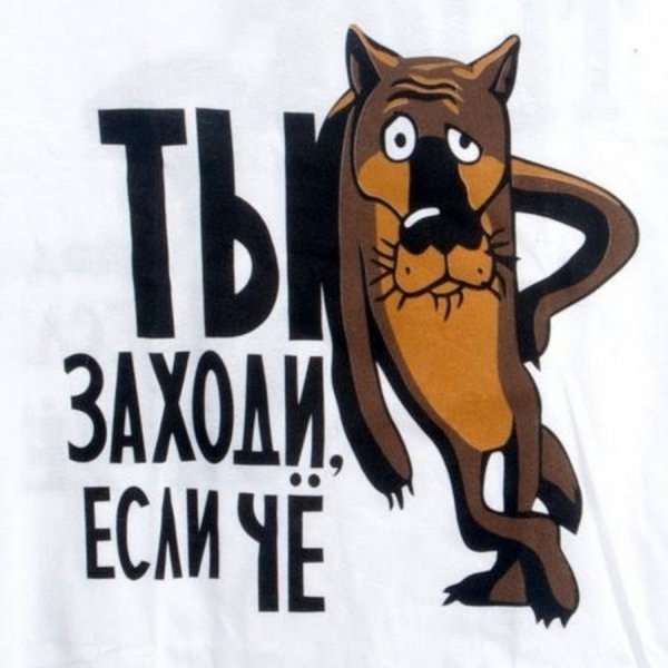 Ты заходи если что