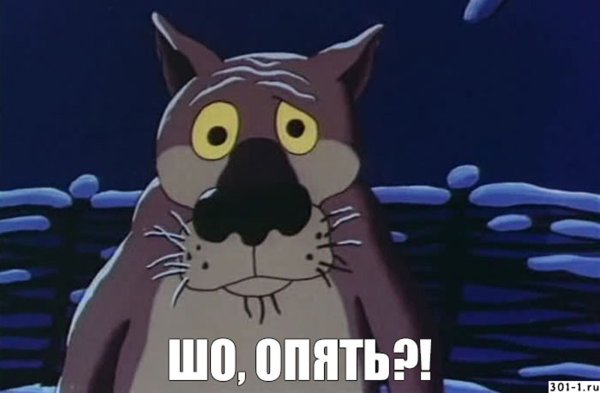 Шо опять волк