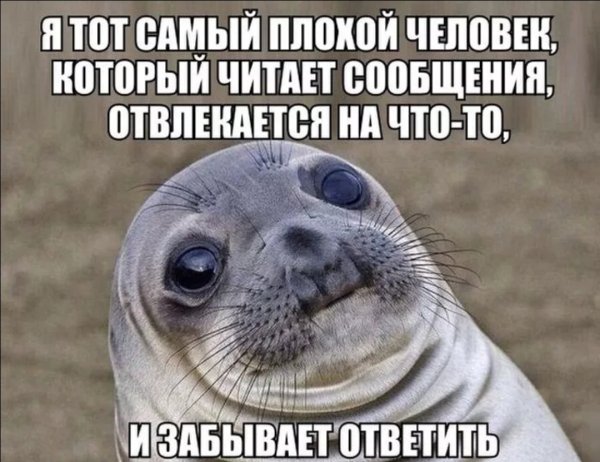 Грустный тюлень
