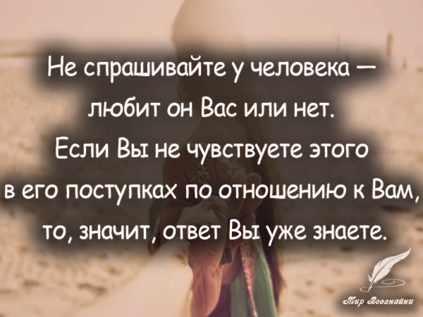 Цитаты если