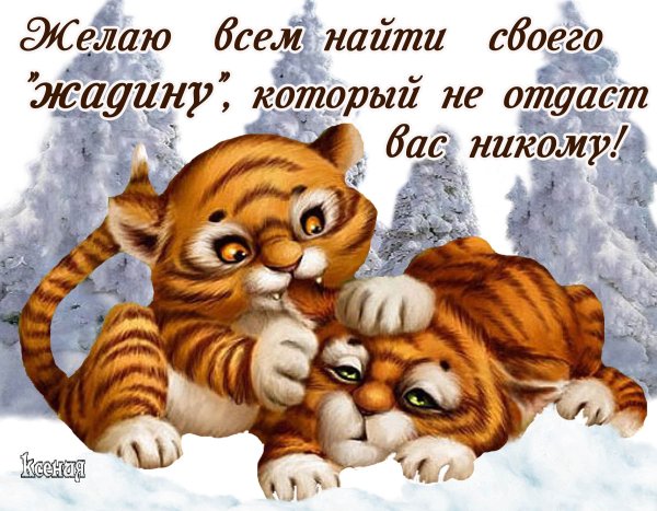 Я нашла своего жадину